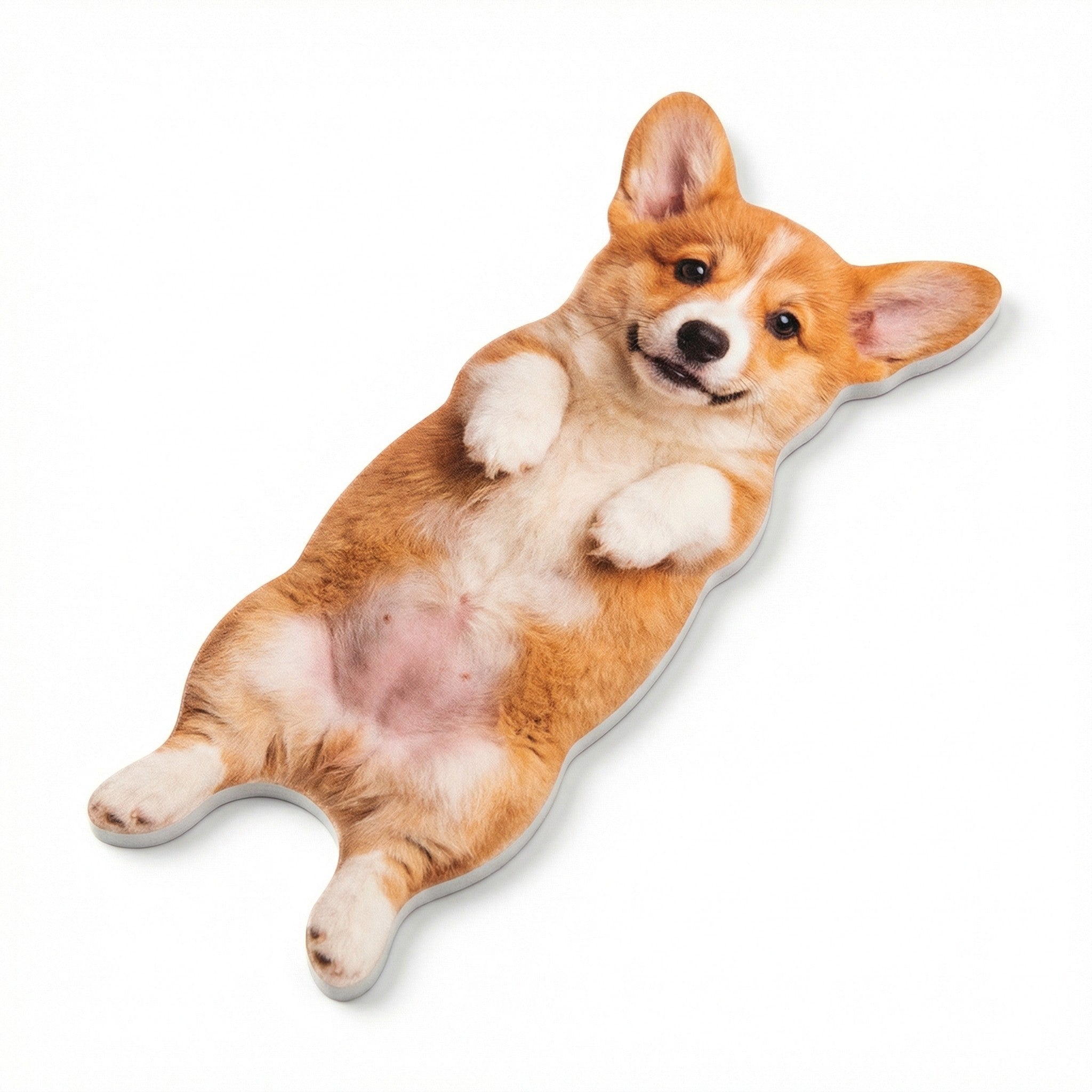 Cute Pet‑Shaped Nail File with Fluffy Belly – Adorable Animal Nail Buffer