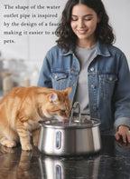 Pet Automatic Drinking Fountain 4L – Stainless Steel with Filter & Viewing Window