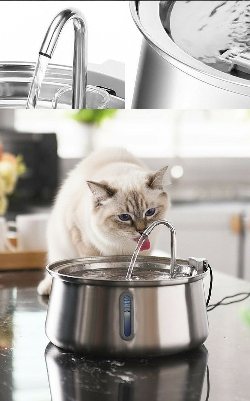 Pet Automatic Drinking Fountain 4L – Stainless Steel with Filter & Viewing Window