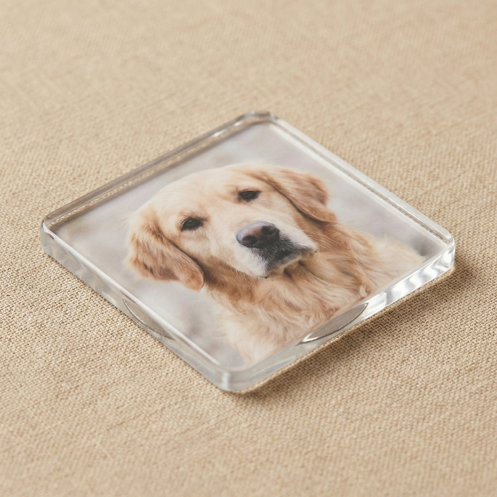 Personalized Pet Photo Fridge Magnet – Custom Dog or Cat Shape
