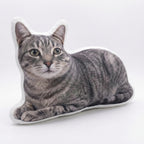 Personalized Pet Pillow – Custom Cat or Dog Photo Cushion