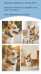 Pet dog collar harness leash
