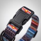 Pet dog collar harness leash